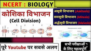 Science  Cell Cycle And Cell Division Class 11  NCERT Science [upl. by Oramlub781]