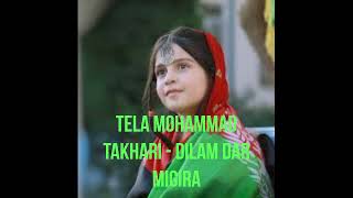 Afghan Song Tela Mohammad Takhari  Dilam Dar Migira دلم در میگیره [upl. by Erreit234]