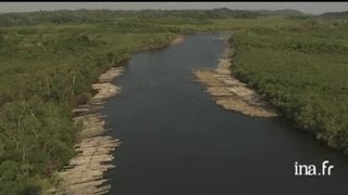 Gabon  flottage du bois près de Port Gentil [upl. by Giffer]