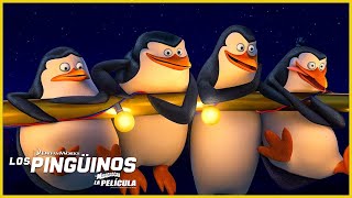 Pingüinos unidos 🐧  Los Pingüinos de Madagascar  DreamWorks Madagascar en Español Latino [upl. by Glenine407]