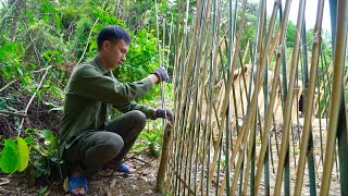 Episode 74  Knit bamboo fences to keep ducks out bonfire celebrate silver button Live with nature [upl. by Aciraj]