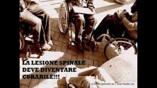 La Lesione Spinale deve diventare curabile  video wmv [upl. by Wanfried]