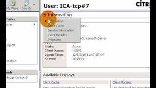 Citrix XenApp Delivery Services Console Servers Node Browsing [upl. by Etaner]