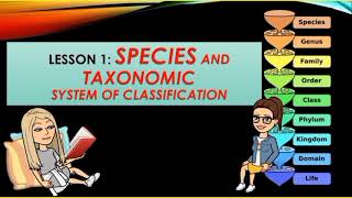 Classifying and Naming Organisms [upl. by Anaiek690]