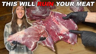 How to Remove the Gland From a Deer Hindquarter  BUTCHER DEER AT HOME [upl. by Atel]