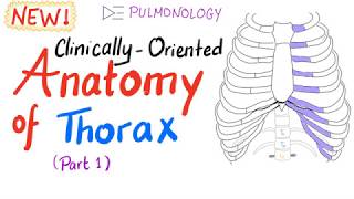 ClinicallyOriented Anatomy of the Thorax part 1 [upl. by Lisk168]