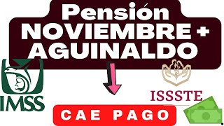 💯¡ya CAYO 💰DEPOSITOS PENSION IMSS E ISSSTE NOVIEMBRE 2024 [upl. by Aliber]