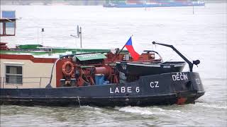 Binnenschiff Labe 6 auf dem Rhein bei Düsseldorf [upl. by Hanauq]