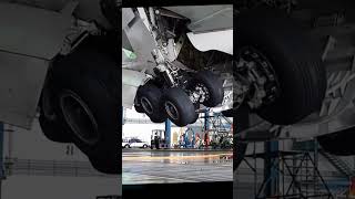 Landing Gear Extension Retraction check aviation automobile usa [upl. by Tima224]