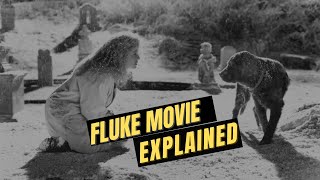 Fluke Movie Ending Explained Dog Movie Fluke Full Movie Recaps Story Explained [upl. by Adnovahs616]