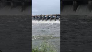 Khadakpurna Dam🌊🌊❤Sant Chokhamela Reservoir trending youtubeshorts shorts sharpfishing [upl. by Sredna262]