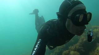 Louis Shied Wreck Thurlestone Devon freedive or scuba [upl. by Aihsetan]