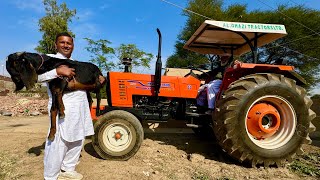 Full Bakra Karahi Cooking in Big Pot  Village Cooking  Village Life  Village Food Secrets [upl. by Yanad763]