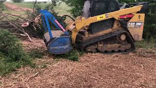 New Promac Skid Steer Mulcher removes invasive Texas Cedar trees in minutes [upl. by Yolanthe]