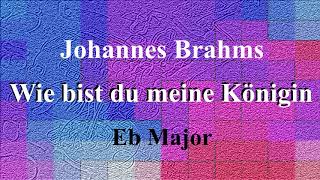 Wie bist du meine Königin by Johannes Brahms accompaniment in Eb Major [upl. by Devin]