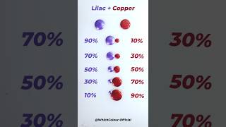 Lilac Vs Copper ColourMixing Video  Acrylic Color Mixing Tutorial colormixing acrylicpainting [upl. by Jp]