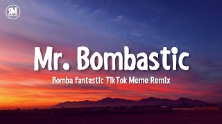 Mister Bombastic TikTok Remix Meme Song [upl. by Elleuqar]