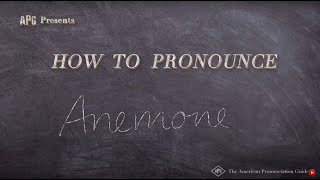 How to Pronounce Anemone [upl. by Ciredor414]