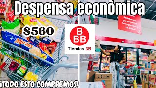 🚨ASI LOGRO AHORRAR EN DESPENSA🛒DESPENSA ECONÓMICA de la tienda 3b🔔COMPRÓ LO QUE ME RECOMIENDAN [upl. by Niret]