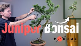 First Styling of a Chinese Juniper Bonsai [upl. by Arikal885]