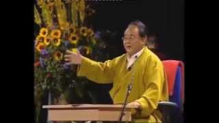 Sogyal Rinpoche  To Tame This Mind of Ours [upl. by Legyn]