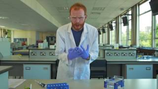 Can you use chromatography and electrophoresis to analyse DNA [upl. by Gnanmos]