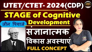 Piaget Cognitive Development Theory of Jean Piaget जीन पियाजे का संज्ञानात्मक सिद्धान्त UTET ctet [upl. by Nalym416]