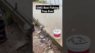 OMG best fishing trap ever fishinglife fishtank fisherman fishvideo river aquarium catfish [upl. by Davita]