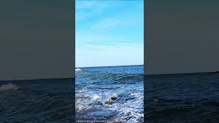 Stunning Beach Day  Ocean Wave Sounds oceanwavessounds [upl. by Atsirak241]