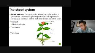 Science 10 SNC2D Plant Tissues [upl. by Nairrad]