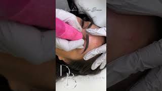 Maquillage Permanent des Sourcils Technique de Poudrage 🌟  Master PMU [upl. by Riffle]