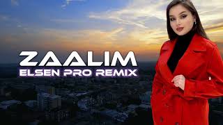 İndian Remix ZAALIM Prod [upl. by Eisus]