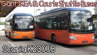 HD ComfortDelgro  Shuttle Buses to Giant IKEA amp Courts  Scania K230UB [upl. by Jo-Anne]