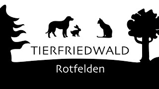 Tierfriedwald Rotfelden Nordschwarzwald  Tierfriedhof  Pet cemetery im Mai 2024 [upl. by Pampuch599]