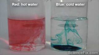 Food Coloring Diffusion [upl. by Landbert]