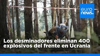 Los desminadores eliminan 400 explosivos de las líneas del frente en Ucrania [upl. by Huba]