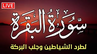 سورة البقرة 💞 كاملة لطرد الشياطين وتصحين المنزل بصوت هادئ جدا جدا 🎧 [upl. by Yedsnil]