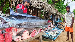 Wow Traditional Street Village Best Best Big Fish Market In Sri Lankan Village [upl. by Carbo530]