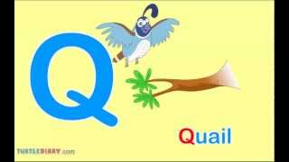 What Words Start With Letter Q Words For Toddlers [upl. by Mcbride]