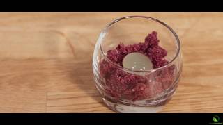 Sferificazione inversa di ginTonic con granita duva Specialingredientsit [upl. by Eisso683]