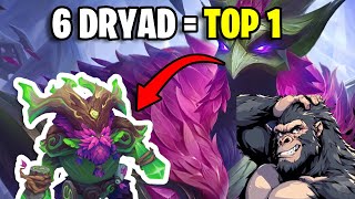 Como jugar Dryad  Driade en team fight tactics set 11 🦌 [upl. by Yrannav]