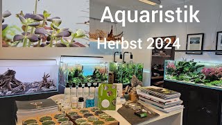 Aquaristik Neuheiten Herbst 2024 [upl. by Gawlas]