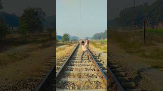 Train horn 📯🥳viralshorts funny trendingshorts railway gurushort [upl. by Eiryt]