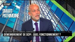 Démembrement de SCPI  Quel fonctionnement [upl. by Priscella102]