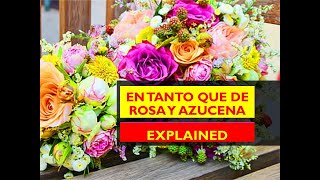 En tanto que de roza y azucena Explained [upl. by Ennovaj486]