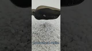 Expanded Horticulture Perlite for Greenhouse Hydroponic Plants perlite hydroponicsfarming [upl. by Aicilev330]