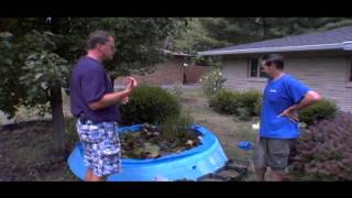 How to Clean a Pond [upl. by Schatz]