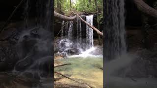 Turkeyfoot Falls Sipsey Wilderness Area AL waterfall nature sipsey bankhead [upl. by Felicdad953]