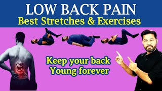 Low Back Pain Relief Exercises  Stretching and Strengthening [upl. by Ocir]