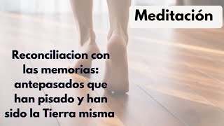 Meditación Con los pies en la tierra [upl. by Intihw]